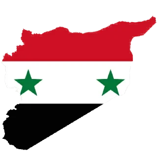 🇸🇾