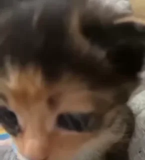 😳