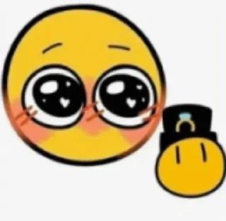 🌟
