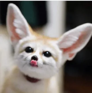 😛