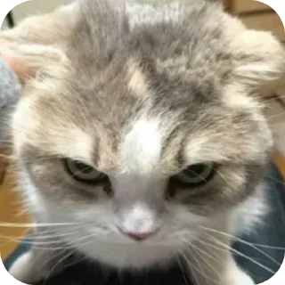 Китя🥺