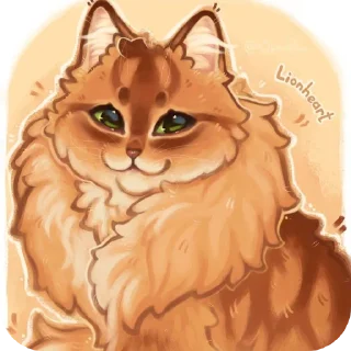 🐱