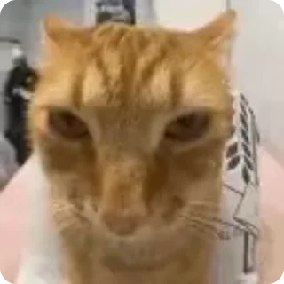 🕺