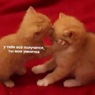 😘