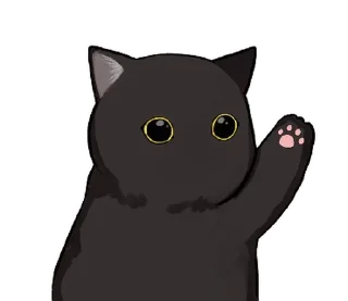 🐱