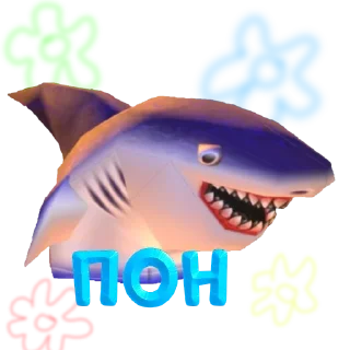 🦈