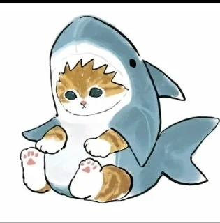🦈