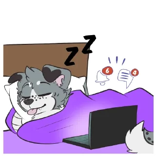 💻
