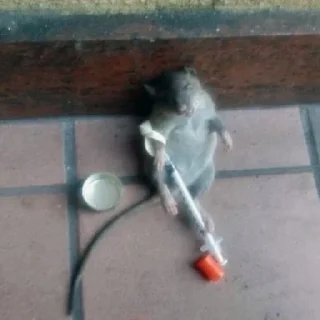 💉