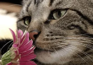 💐