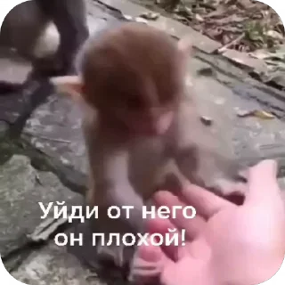 🤨