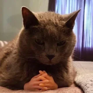 😤