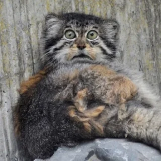 😨