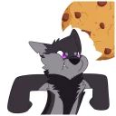 🍪