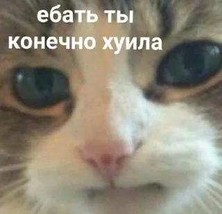 🤬