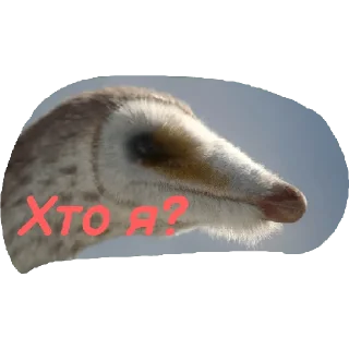 🤐
