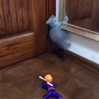 Котики @stickroom