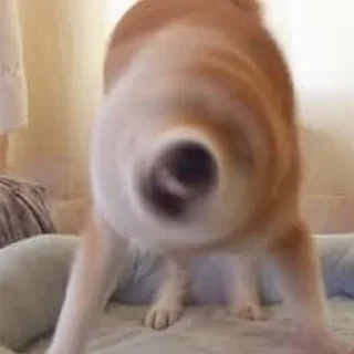 🤯