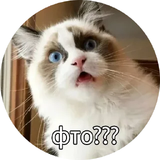 😳