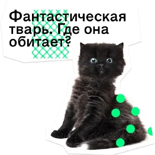 😡