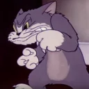🐱
