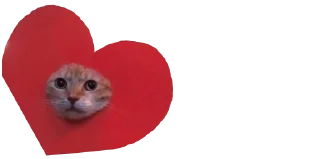 ❤️