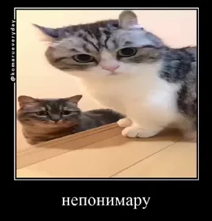 🧐