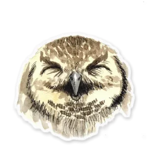 Owl @stickersb2b