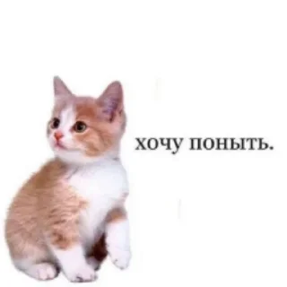 😞