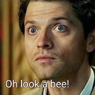 🐝