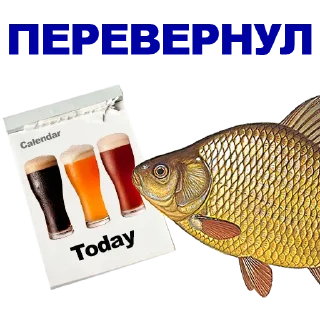 🐠