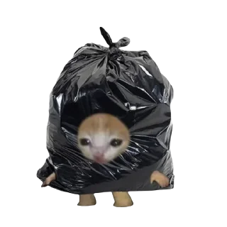 🗑️
