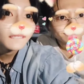 🐈