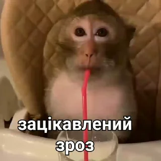 🤨