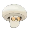 Shroomlore