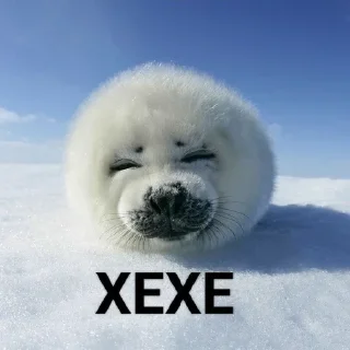 Tuni