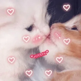 😘