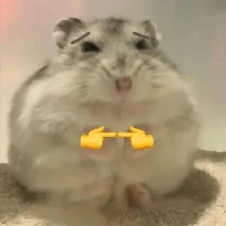 🐹