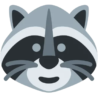 🦝