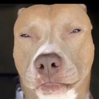 😏