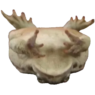🐸