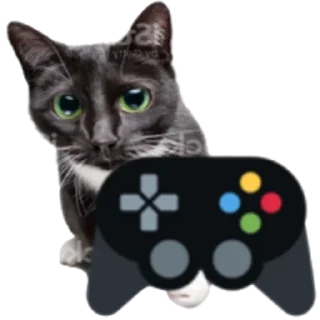 🎮