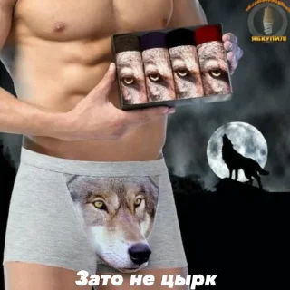 🐺