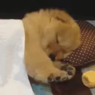 🥱