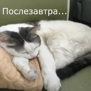 😎