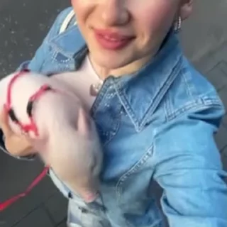 🌟
