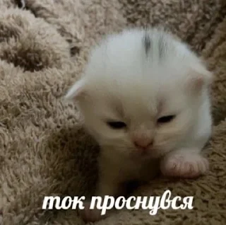 😁