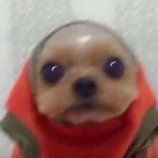 😳