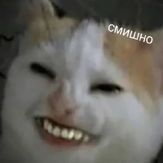 😂