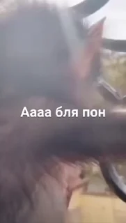😮